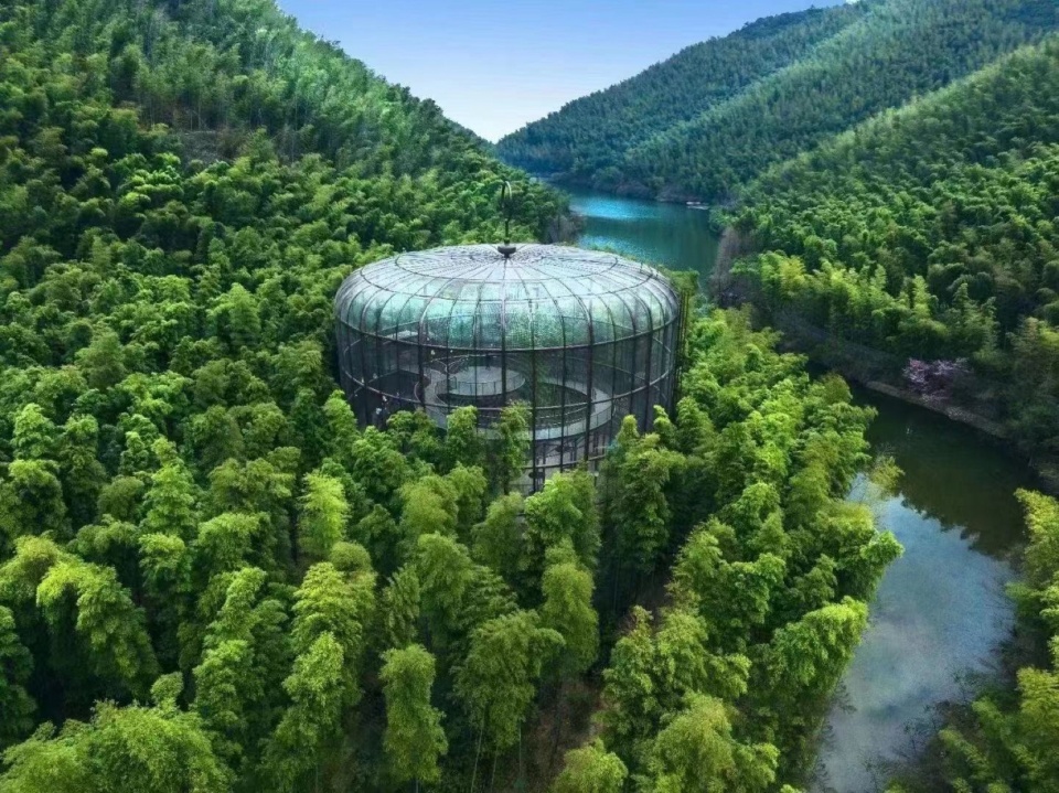 南山竹海大鸟笼 诗与遥文旅设计 aj5