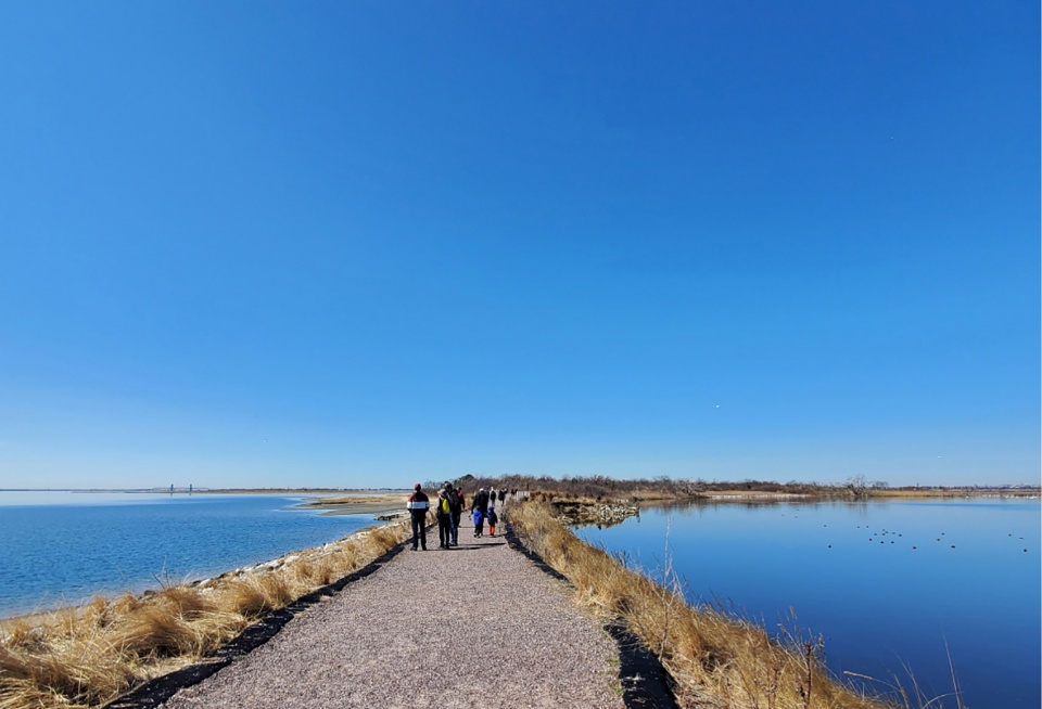 2022 ASLA GENERAL DESIGN AWARD OF HONOR West Pond Living Shoreline Dirtworks Landscape Architecture PC