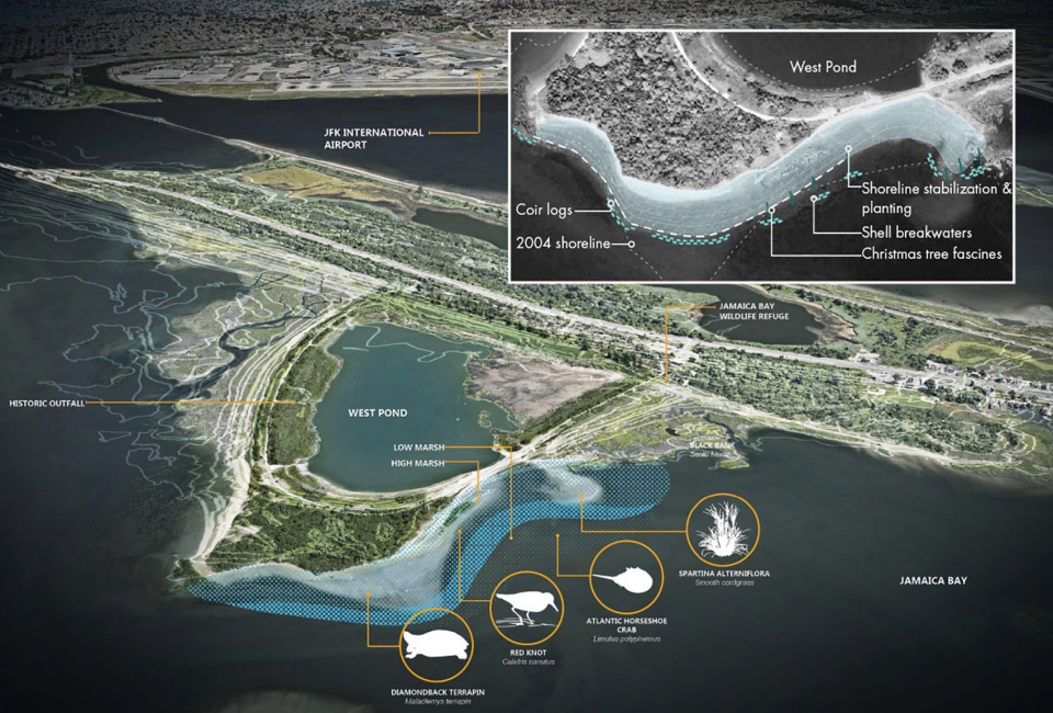 2022 ASLA GENERAL DESIGN AWARD OF HONOR West Pond Living Shoreline Dirtworks Landscape Architecture PC