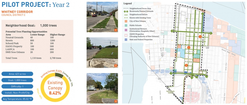 The New Orleans Reforestation Plan by Spackman Mossop Michaels