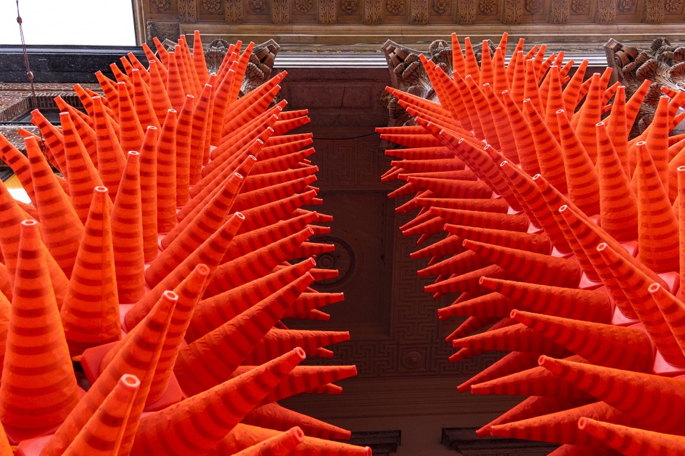 cones by spy