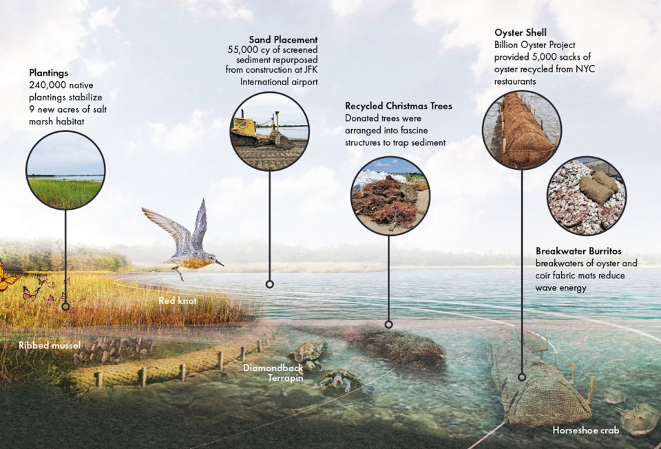 2022 ASLA GENERAL DESIGN AWARD OF HONOR West Pond Living Shoreline Dirtworks Landscape Architecture PC