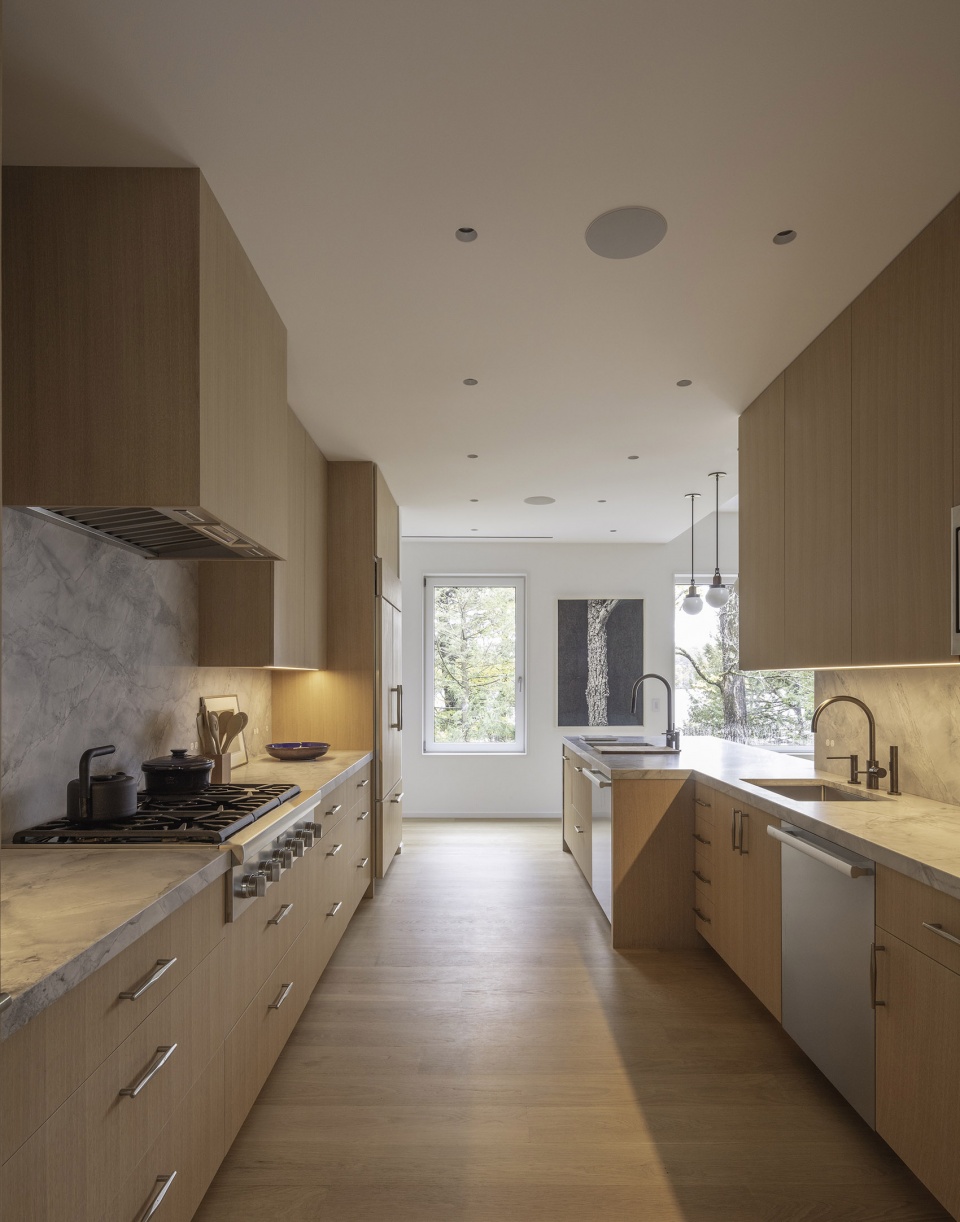 forest lake house by pachano vollert architecture