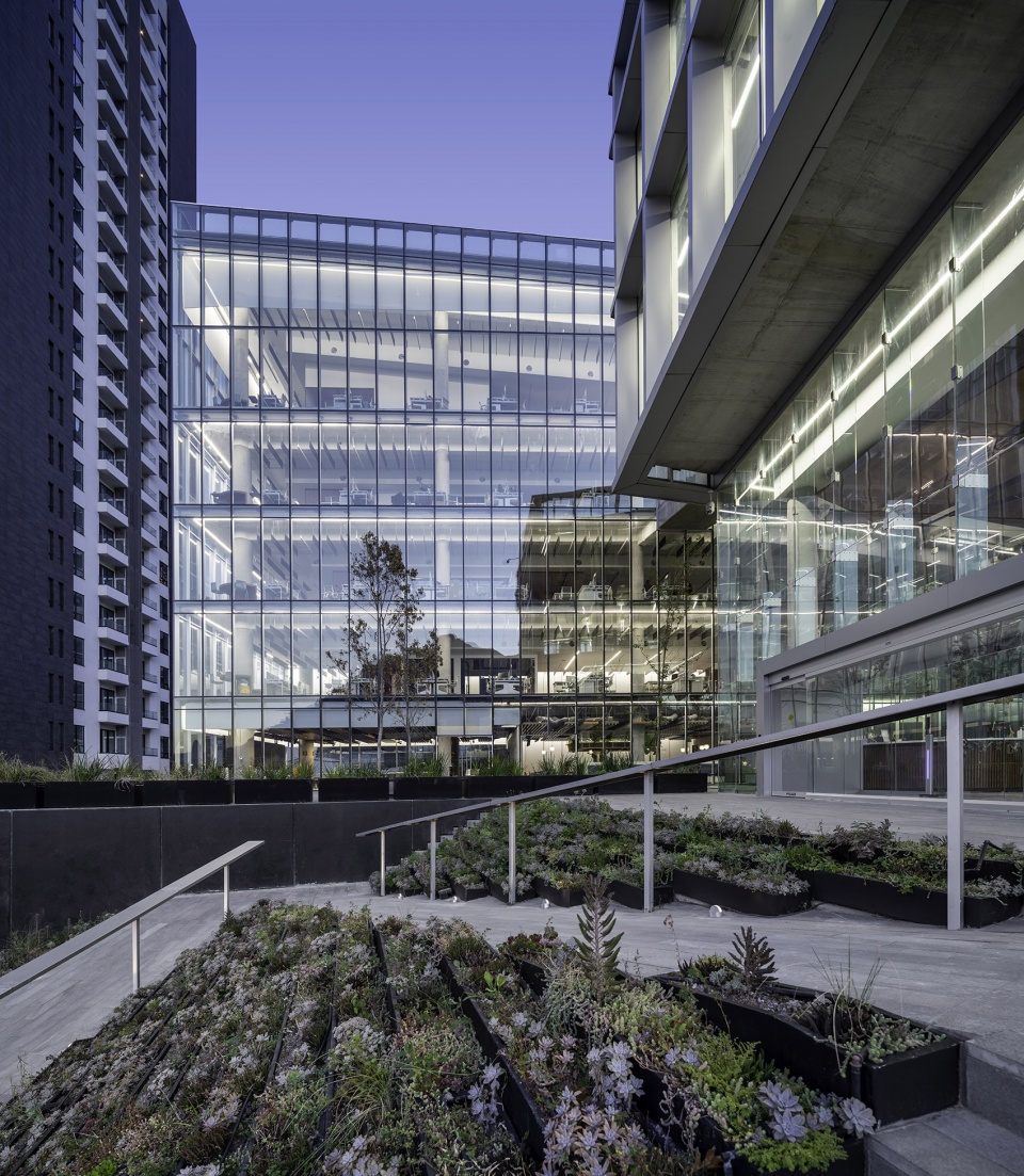 corporativo farmacia del ahorro by mass operations