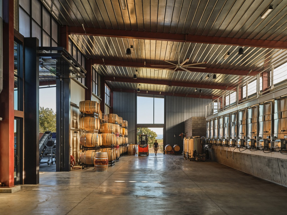fulldraw vineyard by clayton korte