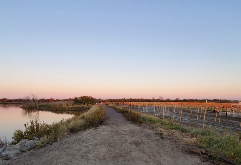 2022 ASLA GENERAL DESIGN AWARD OF HONOR West Pond Living Shoreline Dirtworks Landscape Architecture PC