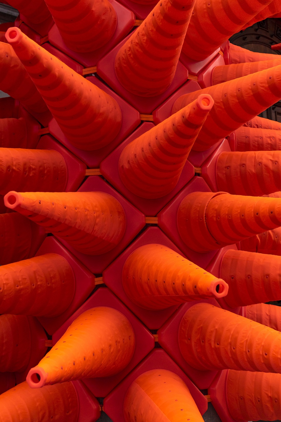 cones by spy