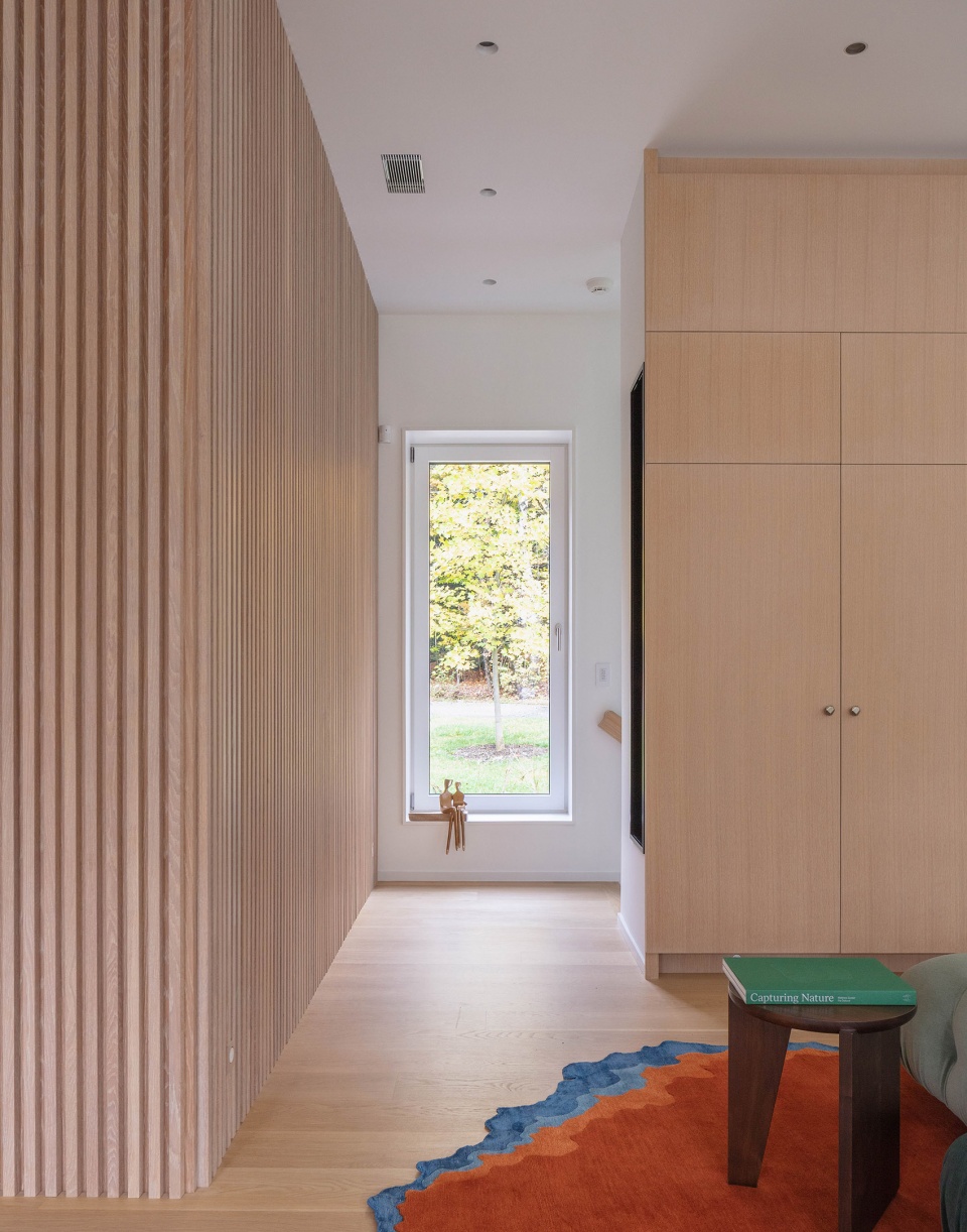 forest lake house by pachano vollert architecture