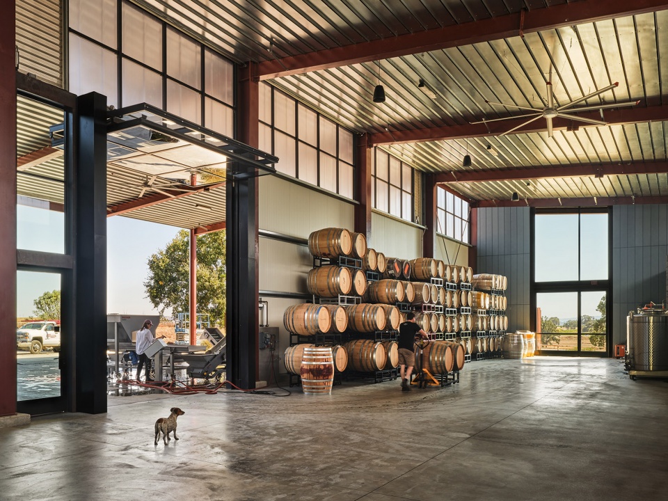 fulldraw vineyard by clayton korte