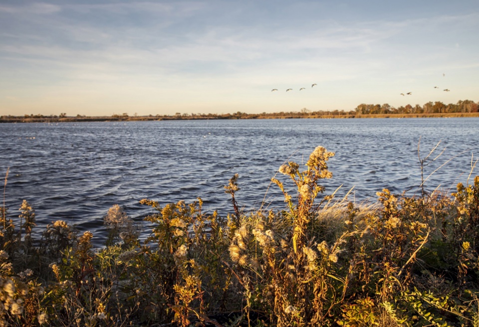 2022 ASLA GENERAL DESIGN AWARD OF HONOR West Pond Living Shoreline Dirtworks Landscape Architecture PC