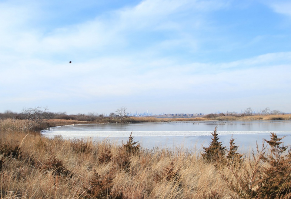 2022 ASLA GENERAL DESIGN AWARD OF HONOR West Pond Living Shoreline Dirtworks Landscape Architecture PC