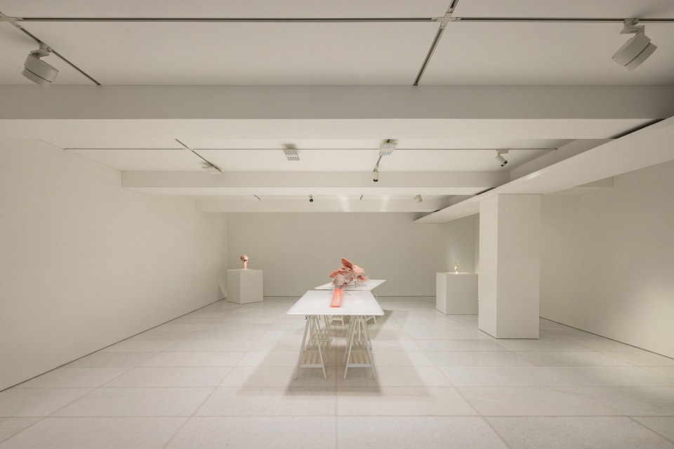 arario gallery by jo nagasaka schemata architects