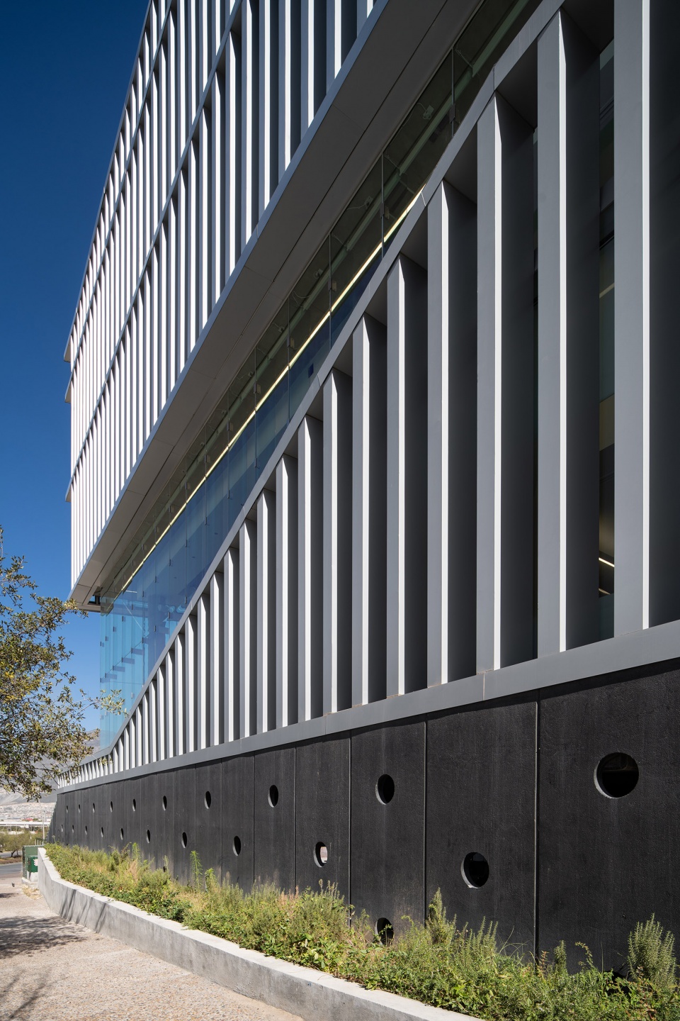 corporativo farmacia del ahorro by mass operations