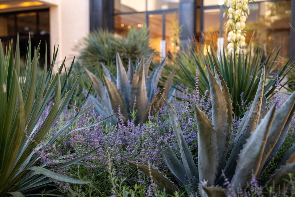 gucci garden by nomad studio
