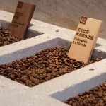 Grid Coffee三源里店，北京 / B.L.U.E.建筑设计事务所