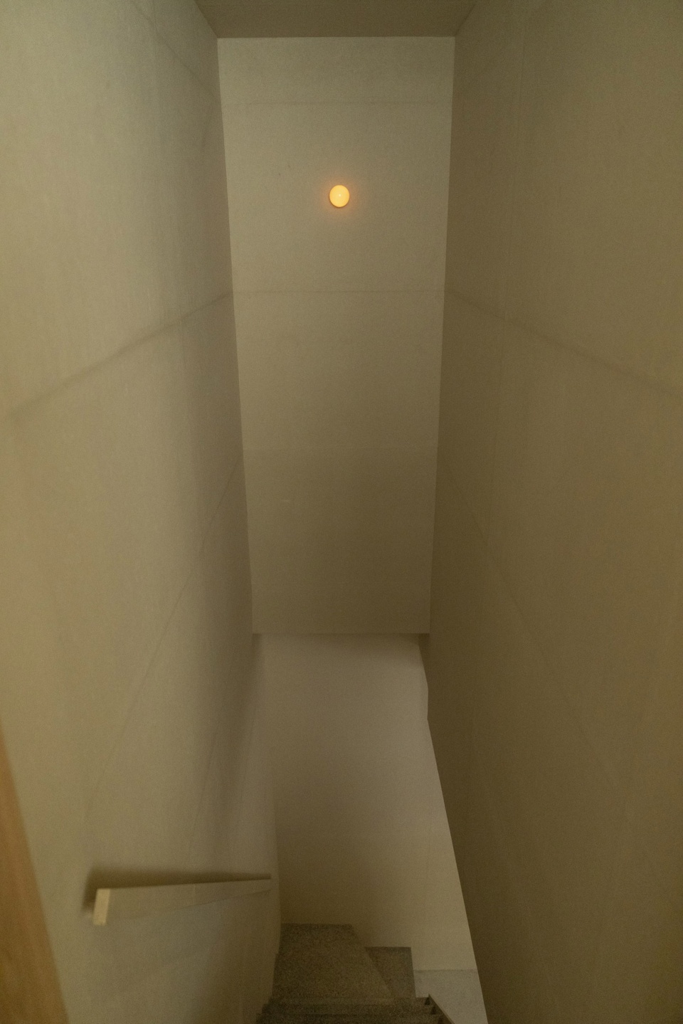 leafmania yoyogi uehara by koyori architects