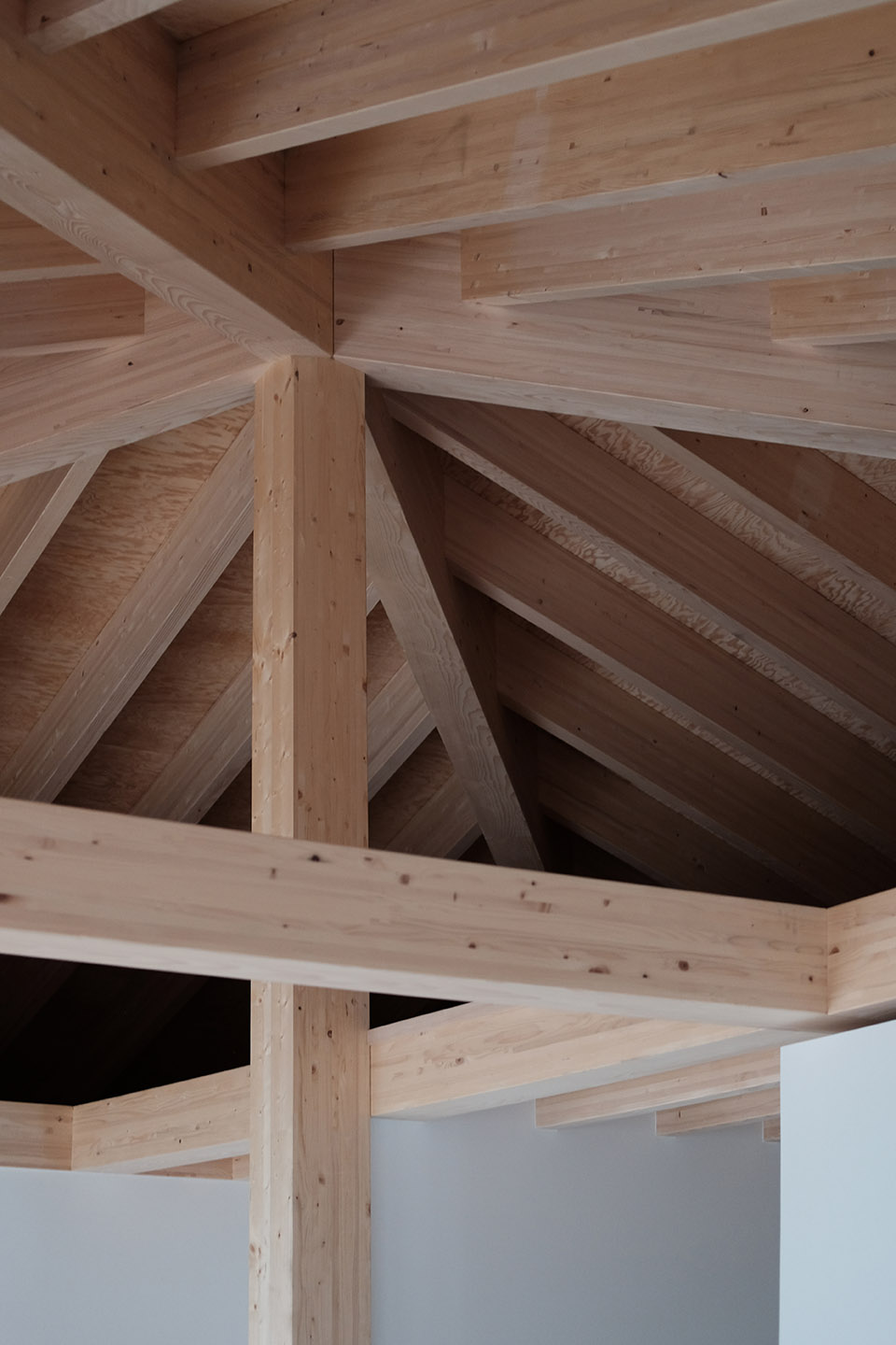 House with a pyramid roof by Charly Jolliet Architecte - 谷德设计网