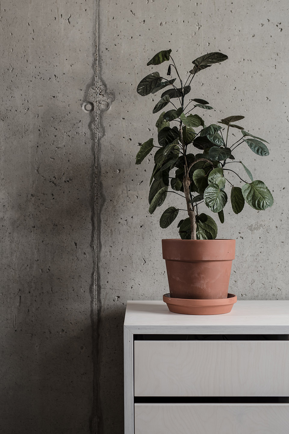 mlynica loft apartment