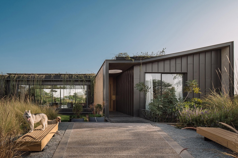 link house by openideas