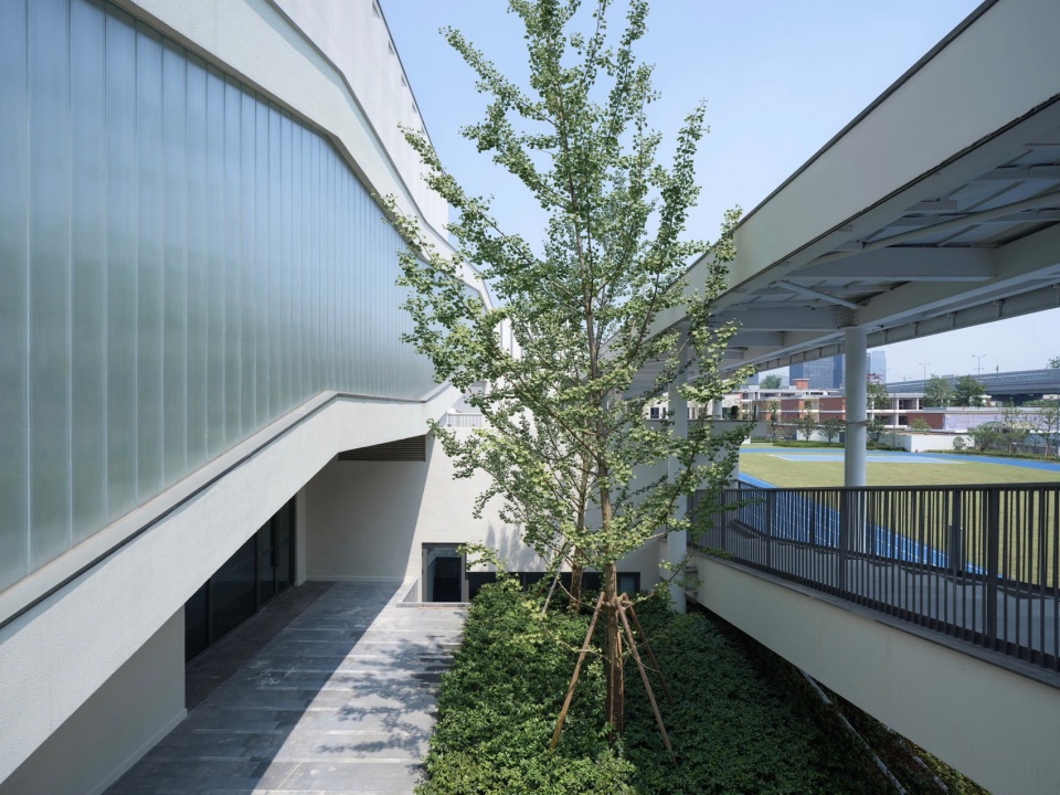 大关小学祥符校区 实景照 公共服务区庭院空间 ©刘国威