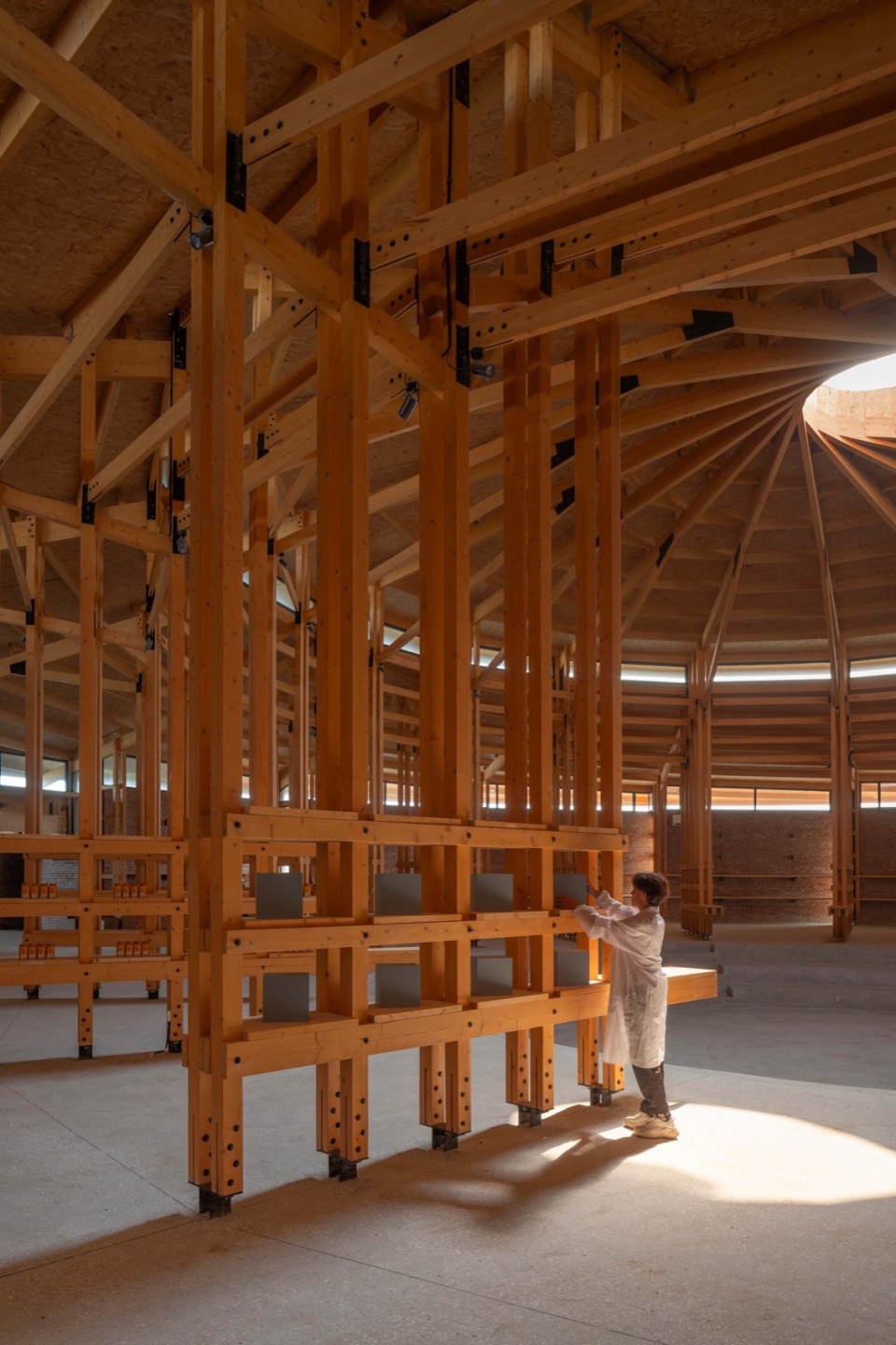 穹顶光照在展架 © 金伟琦 prepared rehmannia root crafts exhibition hall by luo studio