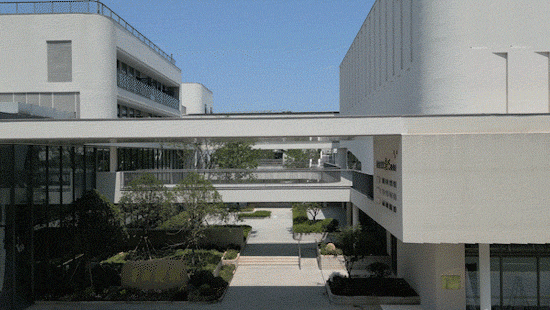大关小学祥符校区 动图 中轴景观 ©刘国威