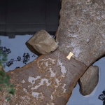 上海桃花源私庭营造 / 墨刻丨無言斋造园