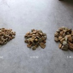 上海桃花源私庭营造 / 墨刻丨無言斋造园