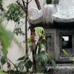 上海桃花源私庭营造 / 墨刻丨無言斋造园