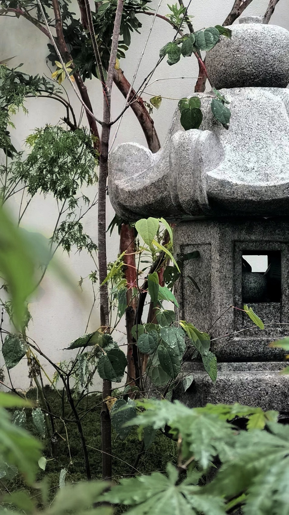 shanghai taohuayuan courtyard design by wuyanzhai gardening044陈皓