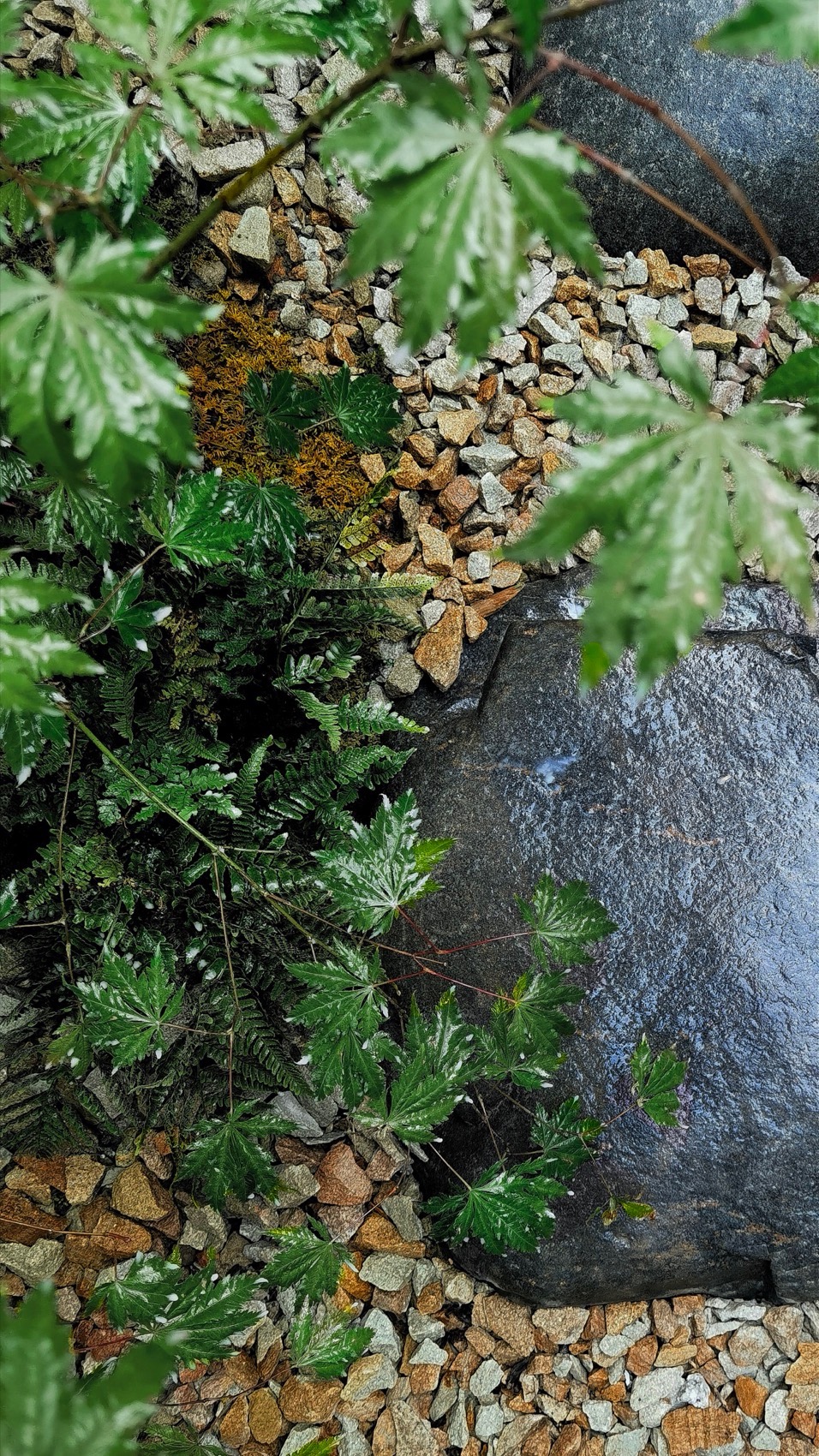 shanghai taohuayuan courtyard design by wuyanzhai gardening047陈皓