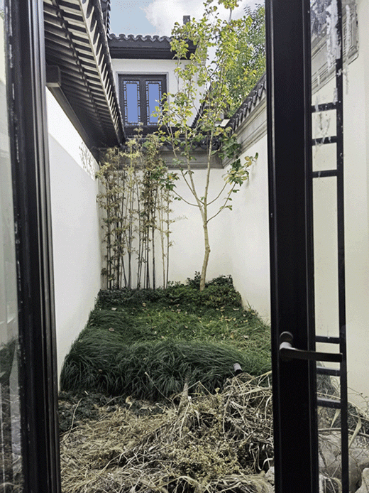shanghai taohuayuan courtyard design by wuyanzhai gardening050茶庭陈皓
