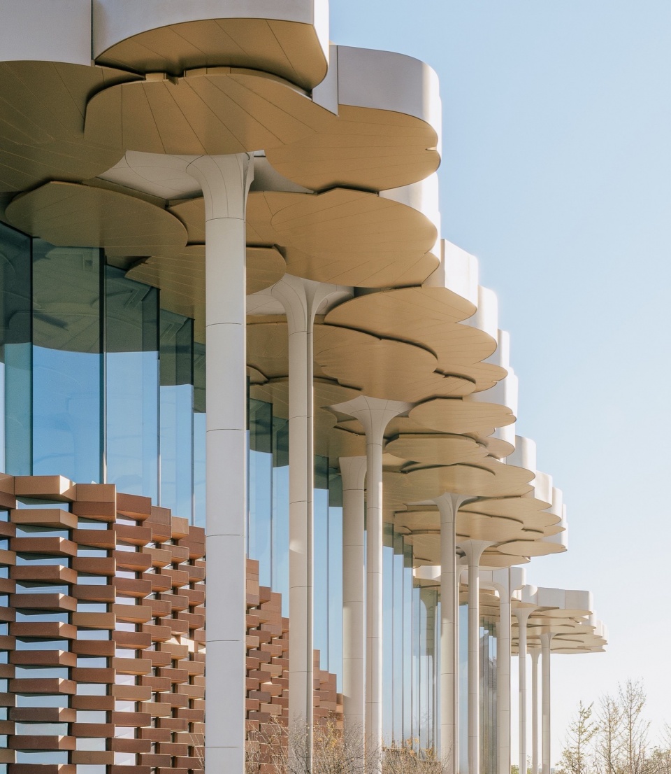 Beijing City Library by Snøhetta