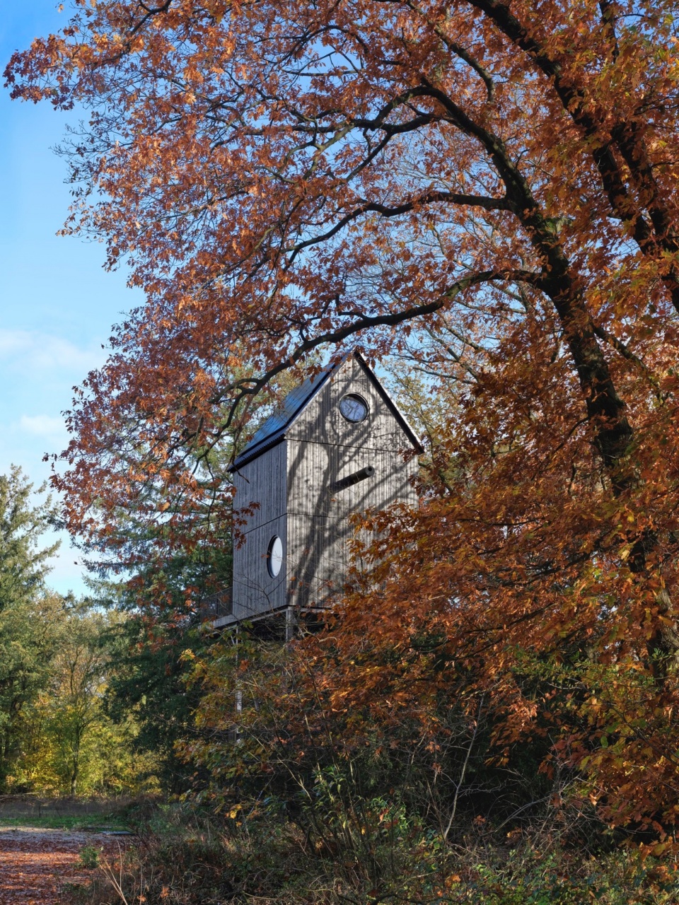 Buitenverblijf Nest i29