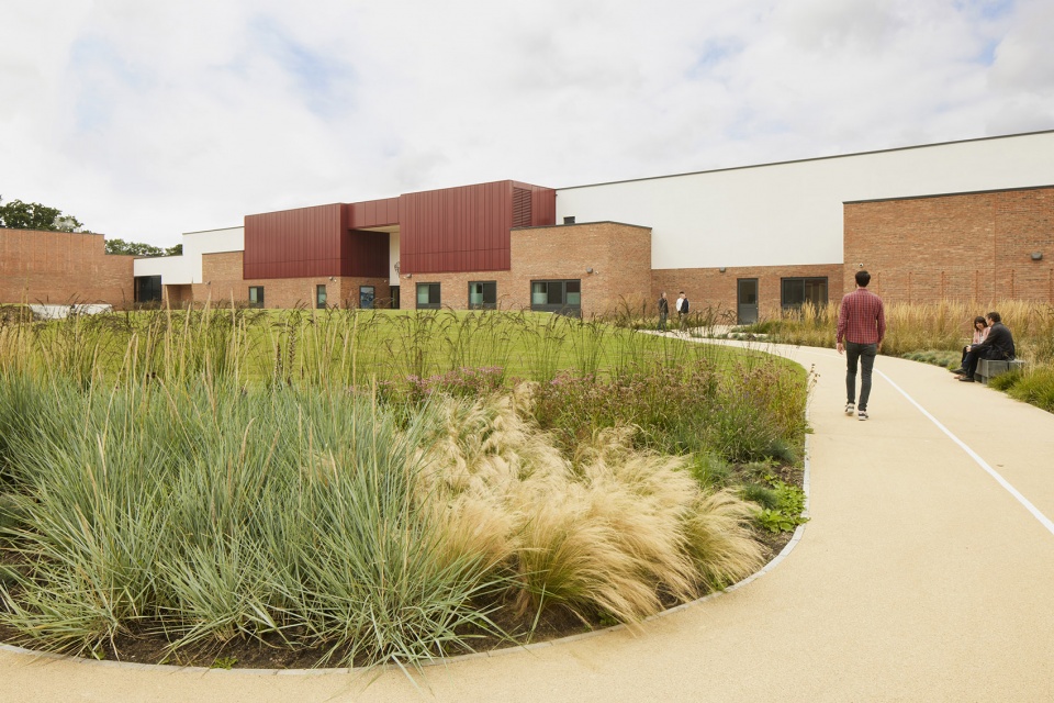 sycamore landscape by medical architecture