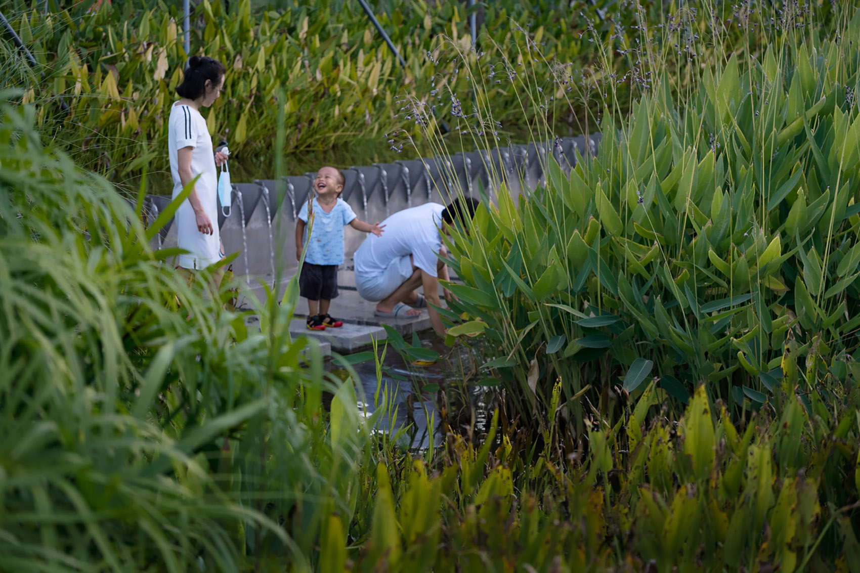 2023 ASLA GENERAL DESIGN AWARD OF HONOR: Qianhai’s Guiwan Park / James ...