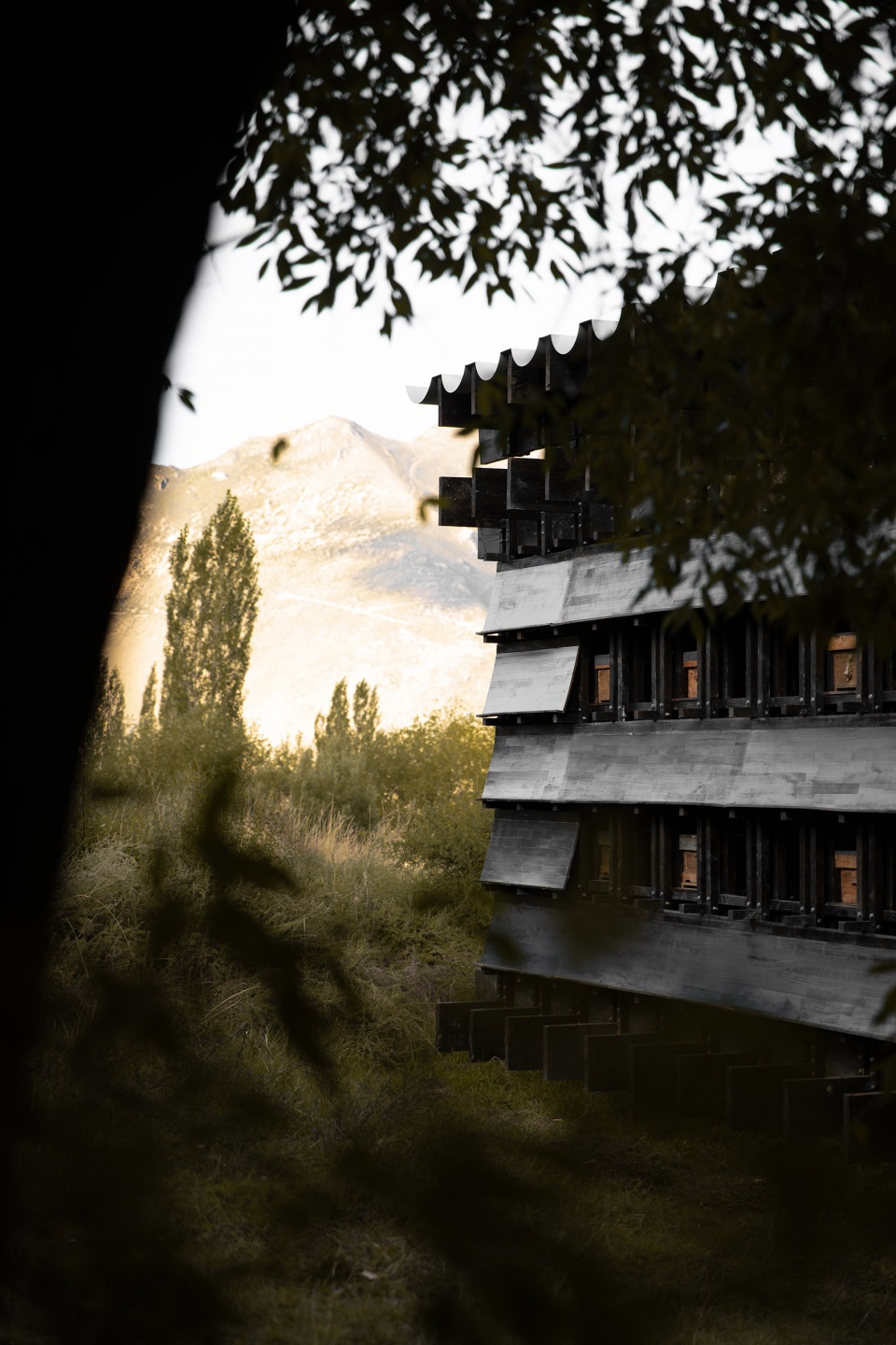 shannan beehive observation cabin by omno