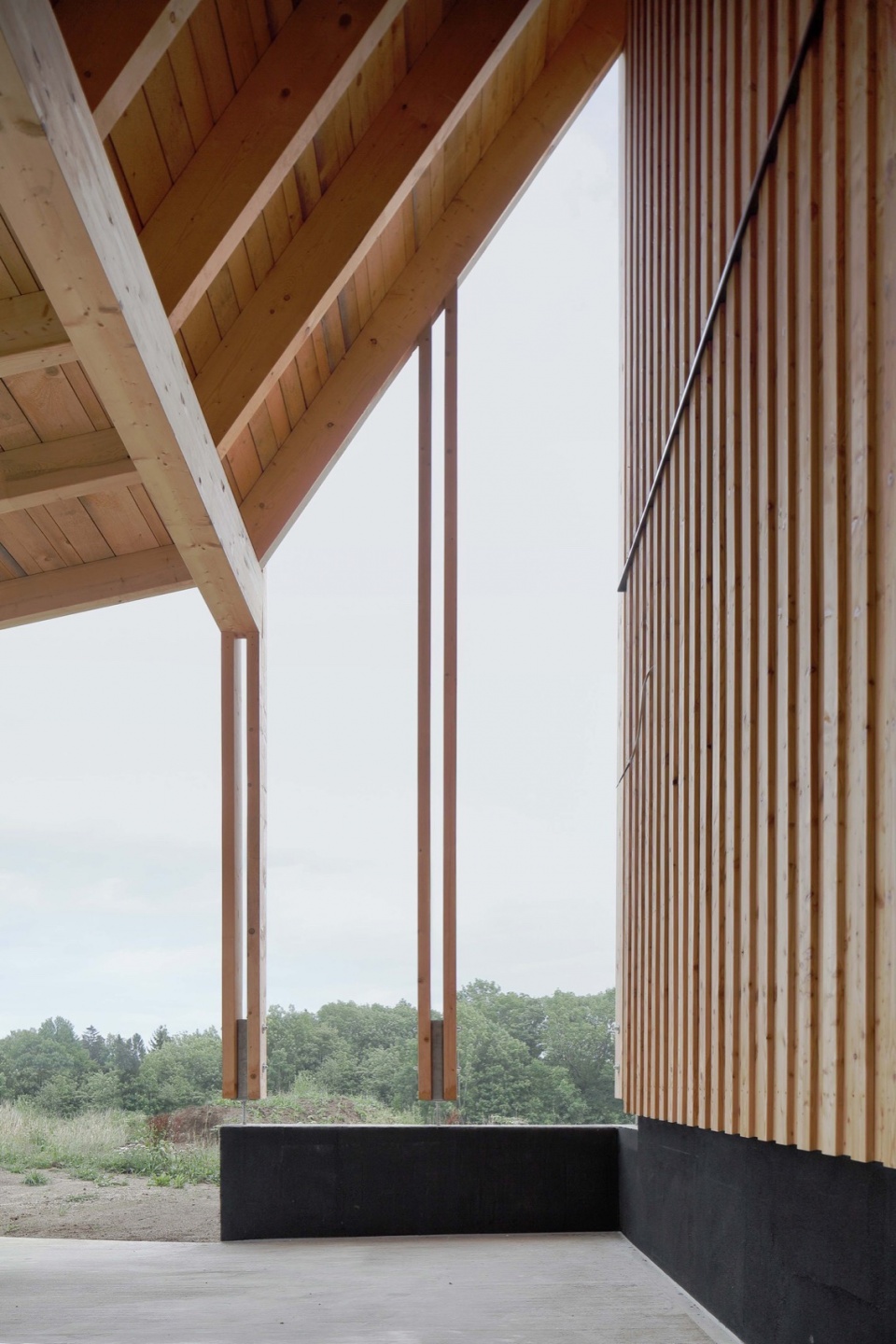 House SF Moser und Hager Architekten