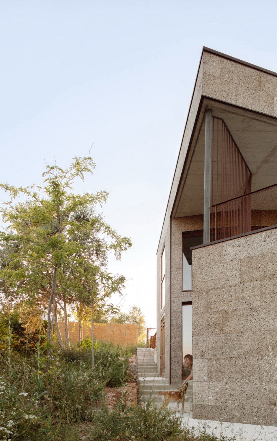 La Casa en el Bosque El Fil Verd Estudi d’arquitectura