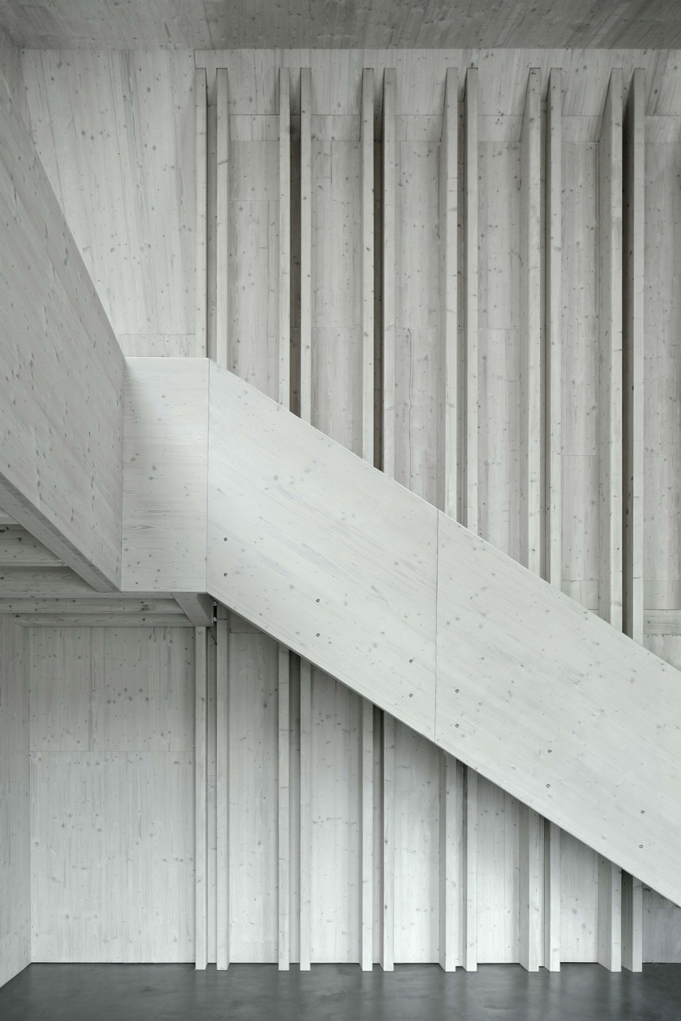 House SF Moser und Hager Architekten