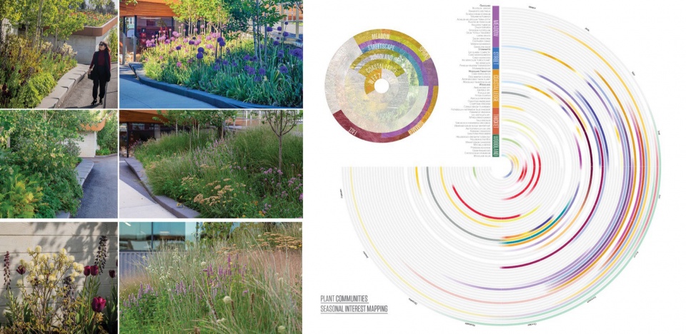 2023 ASLA GENERAL DESIGN AWARD OF HONOR Hood Bike Park by Offshoots Inc