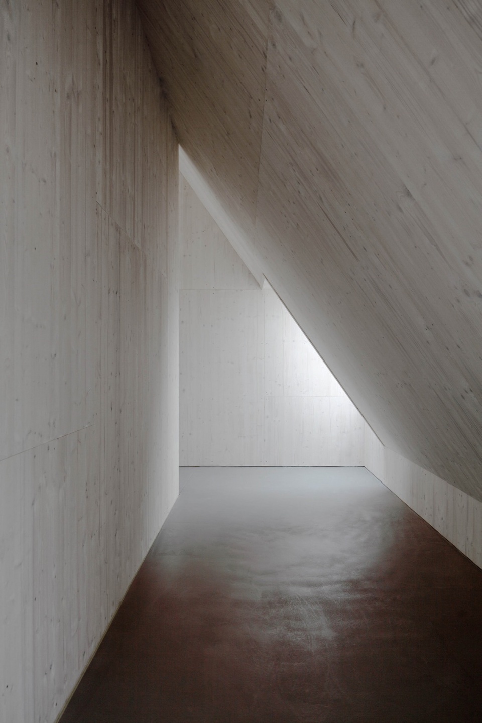 House SF Moser und Hager Architekten