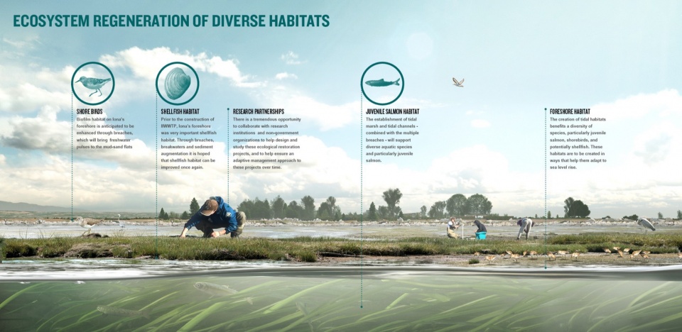 2023 ASLA ANALYSIS AND PLANNING AWARD OF HONOR Iona Beach xweyeyet Regional park and WWTP by space2place design inc isb