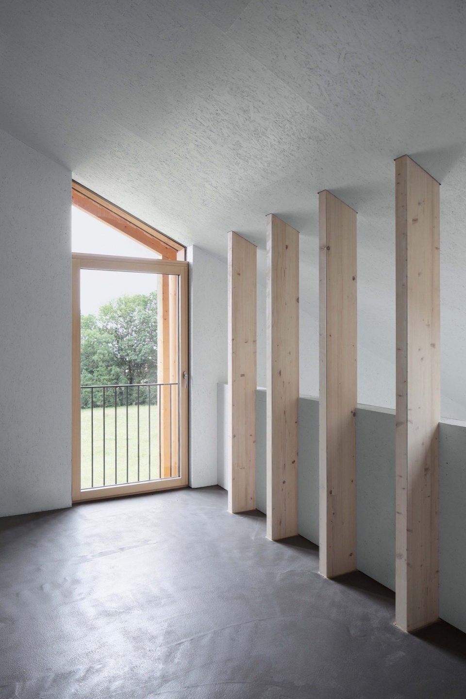 House SF Moser und Hager Architekten