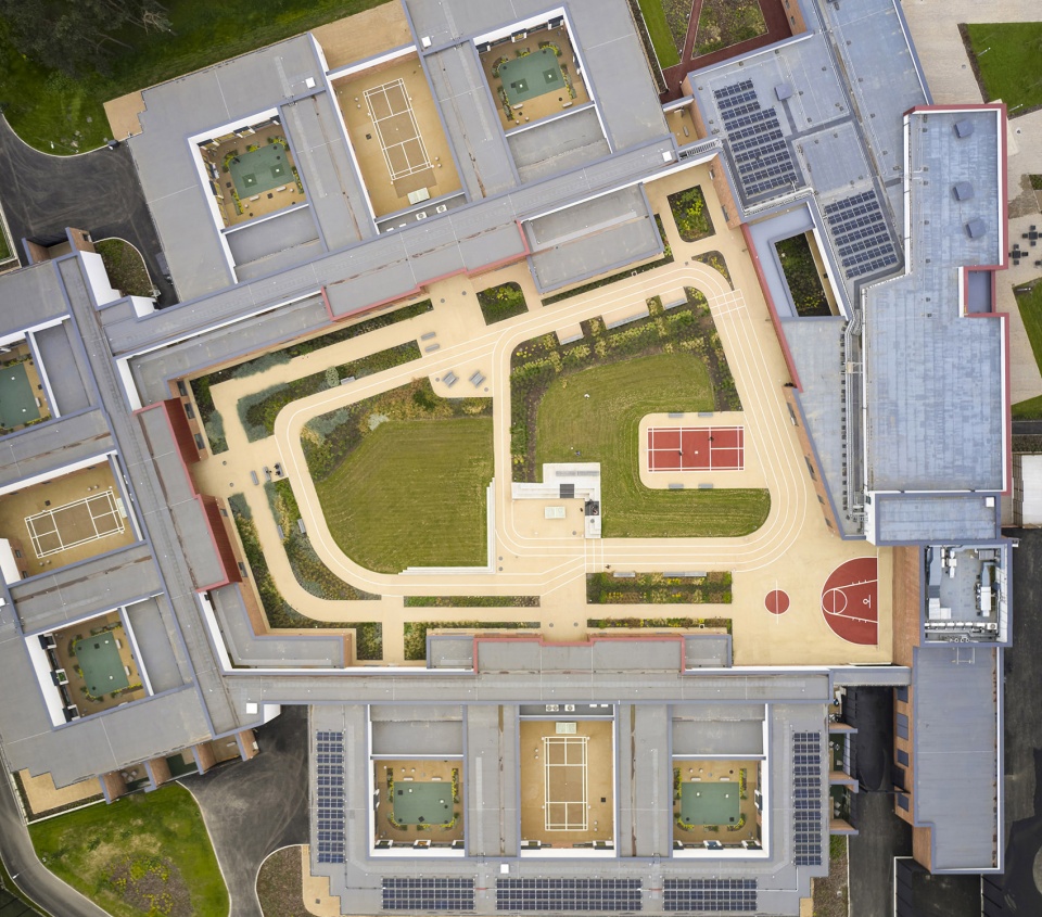 sycamore landscape by medical architecture
