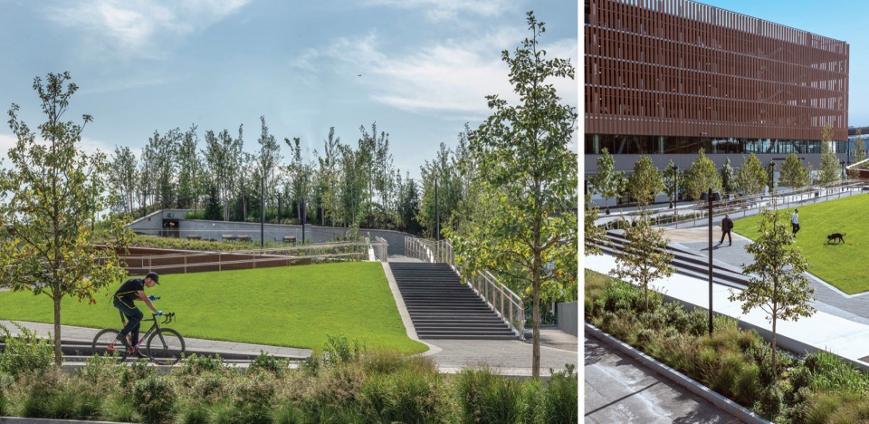 2023 ASLA GENERAL DESIGN AWARD OF HONOR Hood Bike Park by Offshoots Inc