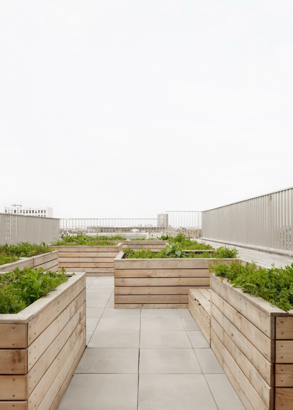 93 petit studio razavi architecture