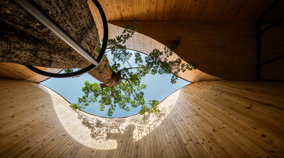 harudot by nana coffee roasters by idin architects