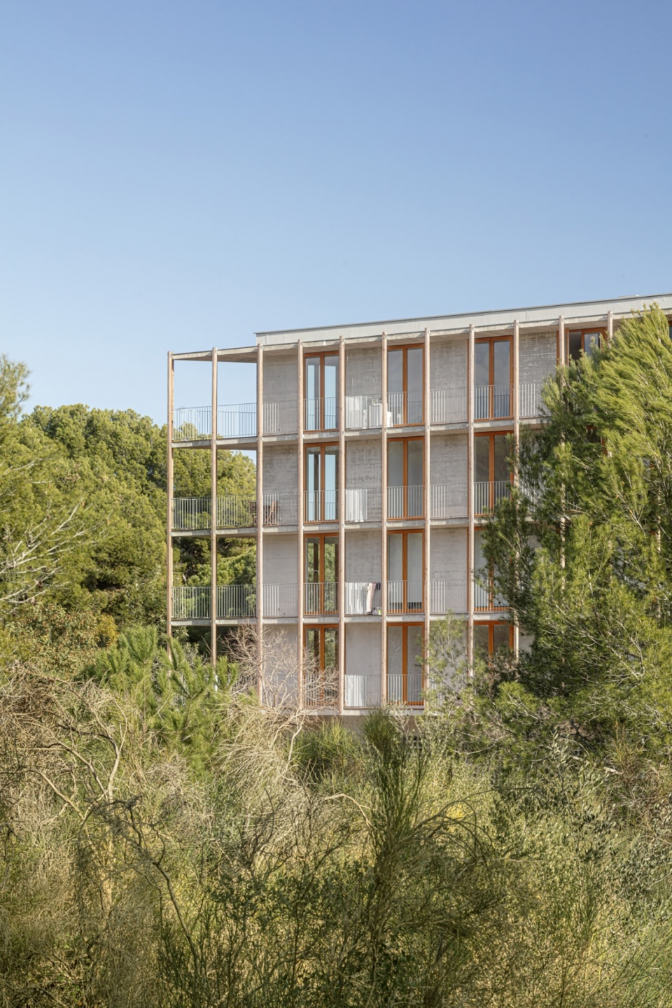 social housing 1737 by harquitectes
