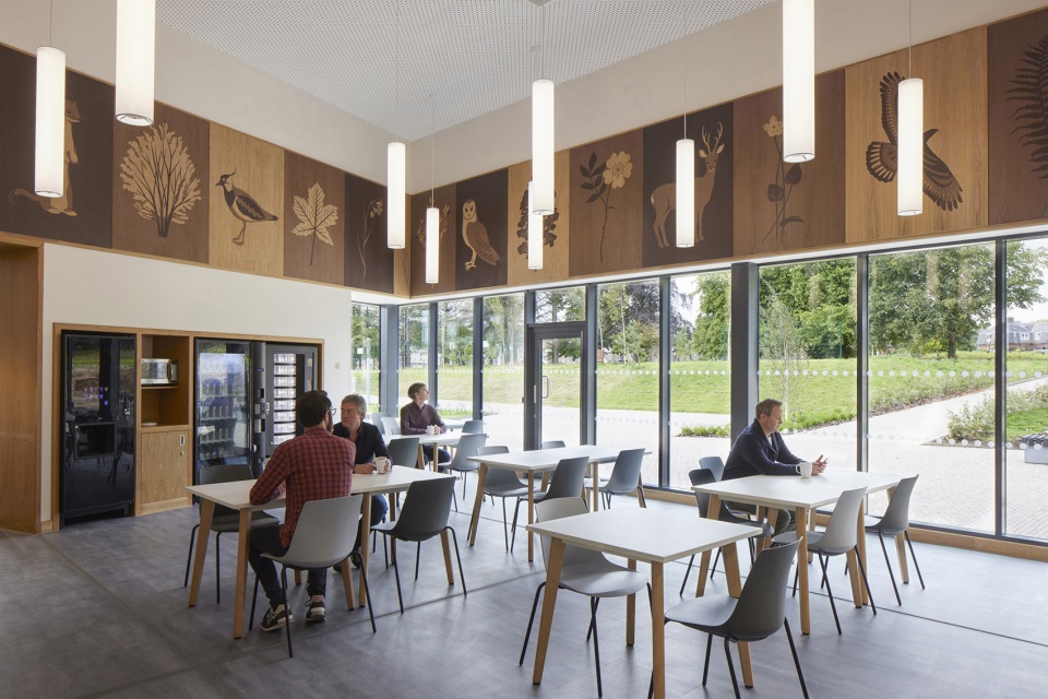 sycamore landscape by medical architecture